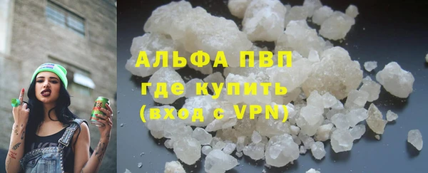 стаф Богданович