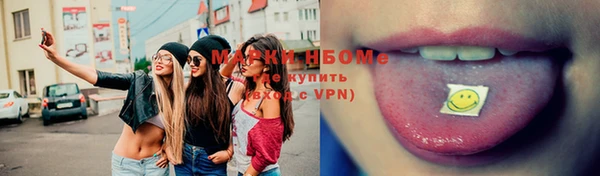 стаф Богданович