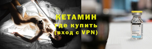 стаф Богданович