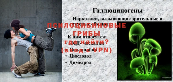 ГАЛЛЮЦИНОГЕННЫЕ ГРИБЫ Белоозёрский