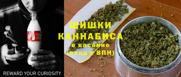 стаф Богданович