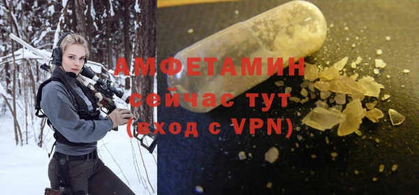стаф Богданович